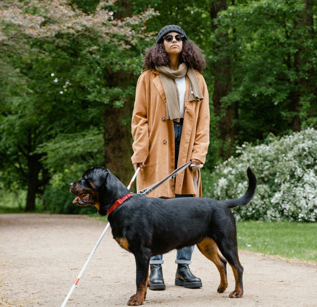 A blind woman strolls through the park with her guide dog, emphasizing assistive independence.